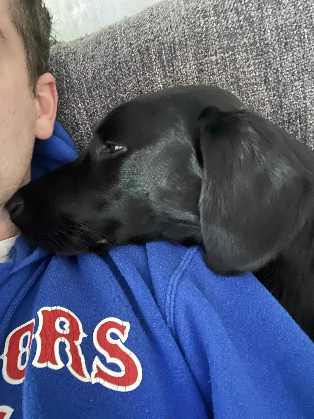 Loki apoyada en el hombro de Carlo