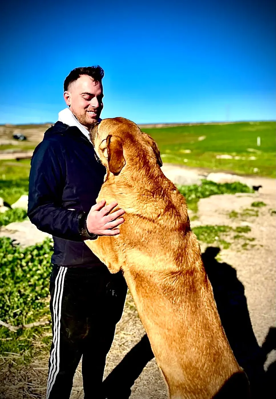 Perro en Alma Canina, Girona
